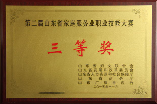 淄博家政、保潔月嫂